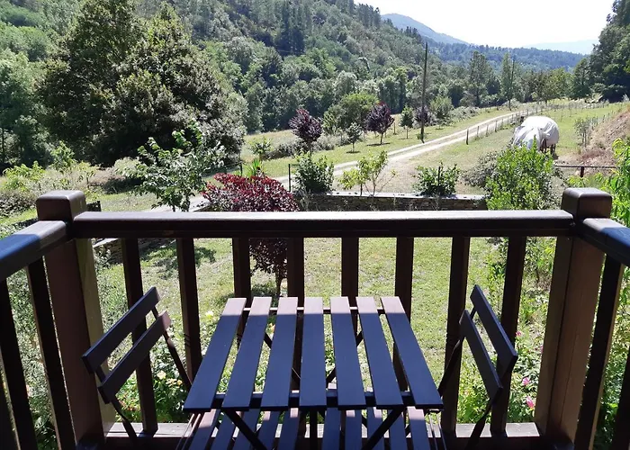 Gospodarstwo wiejskie - Ferreria Quinta